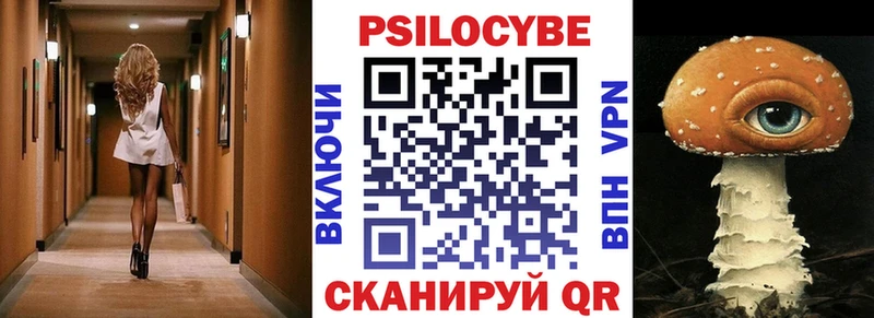 дарнет шоп  Ряжск  Галлюциногенные грибы Psilocybine cubensis 